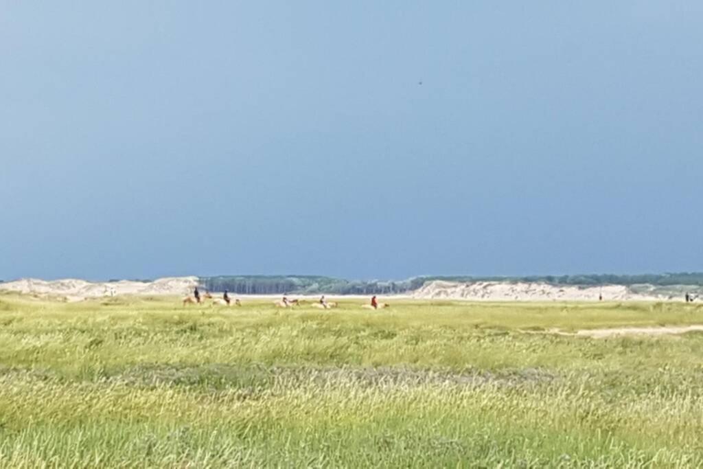 La Cabane Des Dunes A Fort-Mahon Plage 外观 照片
