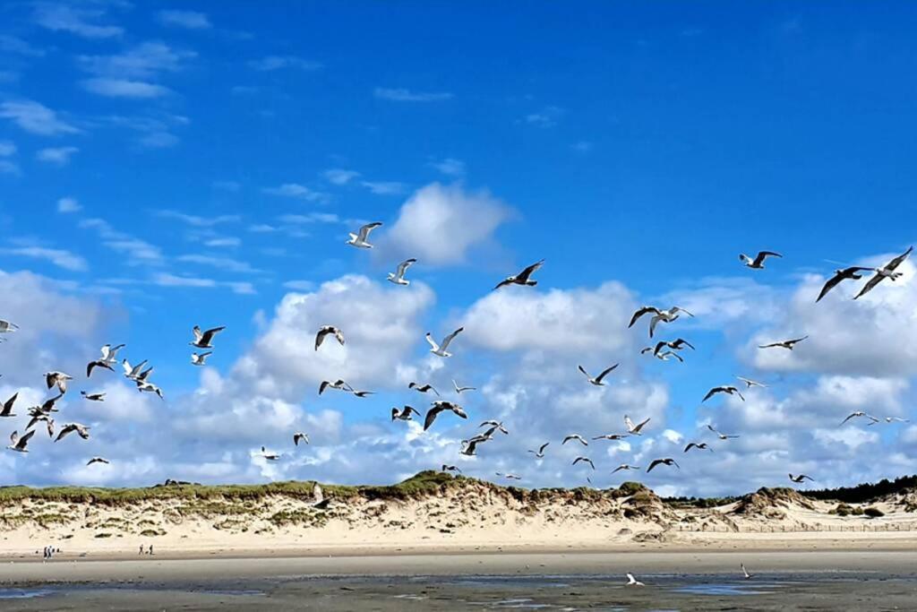 La Cabane Des Dunes A Fort-Mahon Plage 外观 照片